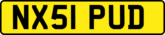 NX51PUD
