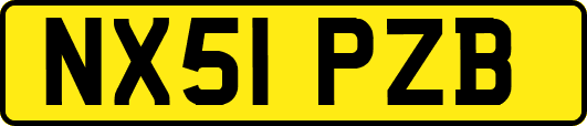 NX51PZB