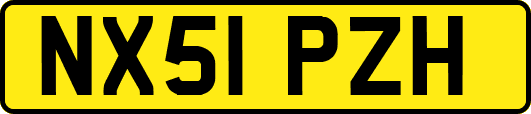 NX51PZH