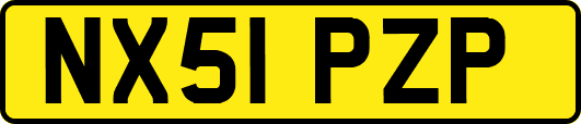 NX51PZP
