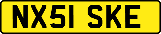 NX51SKE