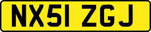 NX51ZGJ
