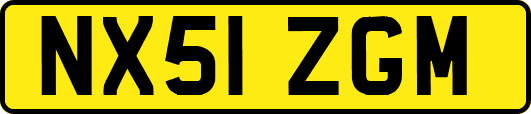 NX51ZGM