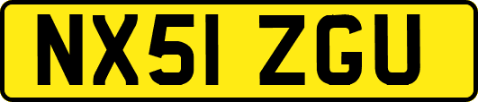 NX51ZGU