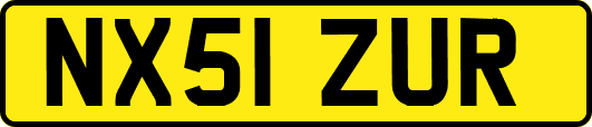 NX51ZUR