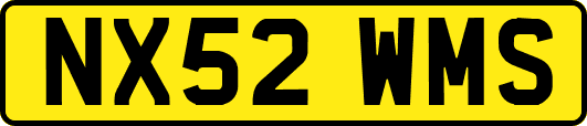 NX52WMS