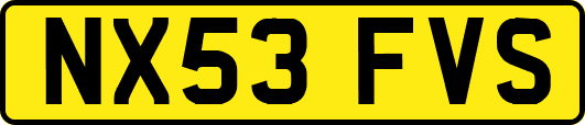 NX53FVS