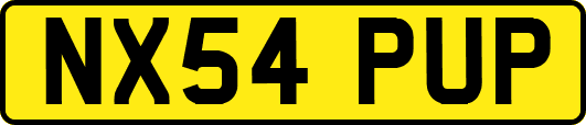 NX54PUP