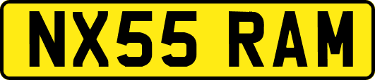 NX55RAM