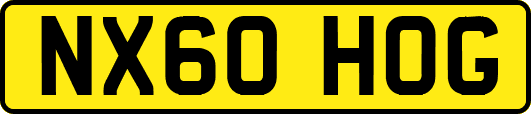 NX60HOG