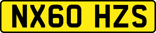 NX60HZS