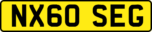 NX60SEG