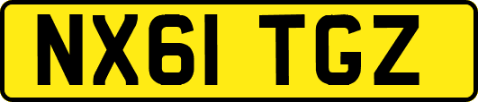 NX61TGZ