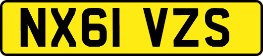 NX61VZS