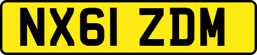 NX61ZDM