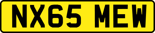 NX65MEW