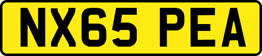 NX65PEA