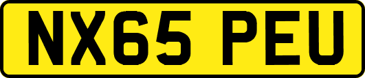 NX65PEU