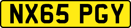 NX65PGY