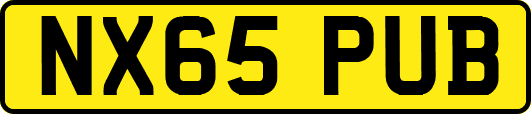 NX65PUB