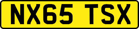 NX65TSX
