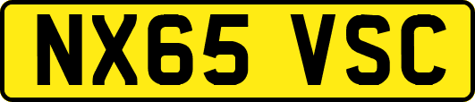 NX65VSC