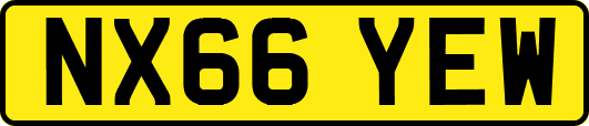 NX66YEW