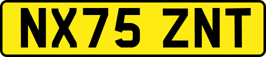 NX75ZNT