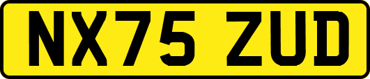 NX75ZUD
