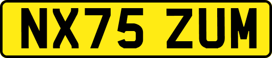 NX75ZUM