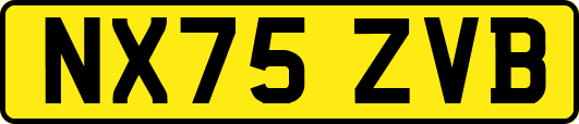 NX75ZVB