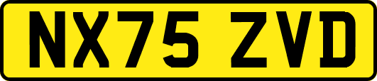 NX75ZVD