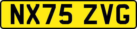 NX75ZVG
