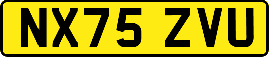 NX75ZVU