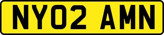NY02AMN