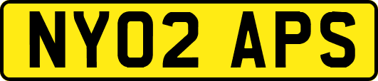 NY02APS
