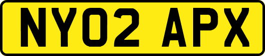 NY02APX