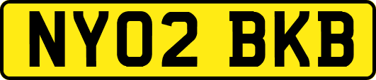 NY02BKB