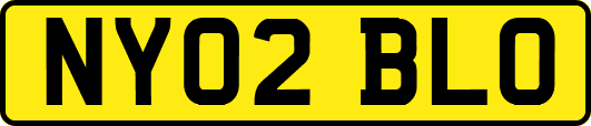 NY02BLO