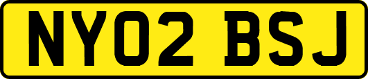 NY02BSJ
