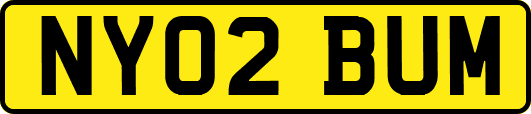 NY02BUM