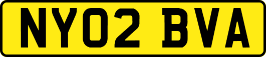 NY02BVA