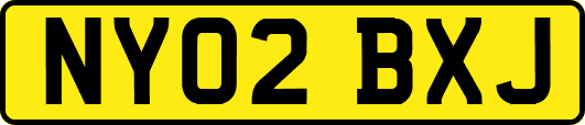 NY02BXJ