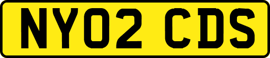 NY02CDS