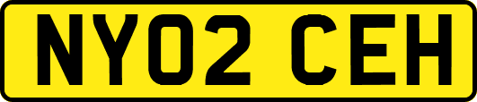 NY02CEH