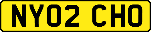 NY02CHO