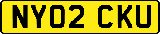 NY02CKU