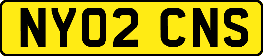NY02CNS
