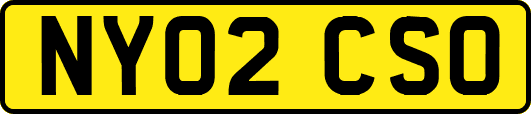 NY02CSO