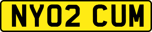 NY02CUM